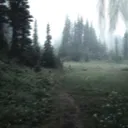 grrraaasssss