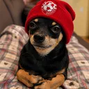 jasonlol0712_58827