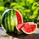 Аватар izyme123_58779