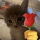 avatar 🌷\\{𝑓𝑎𝑘𝑒 𝑠𝑚𝑖𝓁𝑒}//🌷