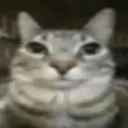 eternal_fighter. avatar