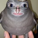 sakypaa avatar