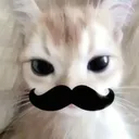 alwaysrosse_