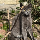 avatar cutsonherbody