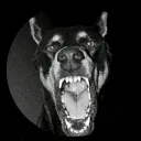 elrd_68502 avatar