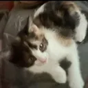 sc_jxr._62864 avatar