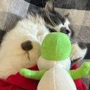 avatar My Name Is Owleey Im A Cum Slut