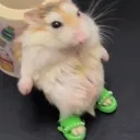 mrgoofball
