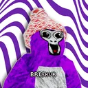 briskvr