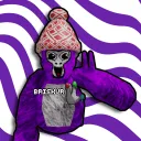 briskvr