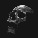 avatar 𝙳𝚊𝚜𝚑