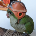 avatar krooze (flight-ready)