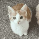 catacombsguy
