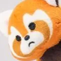 captfloofy