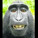 juliwazaaa_14601 avatar