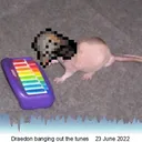 penguinpablo69