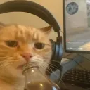 vxnishhh