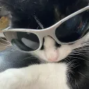 susqected avatar
