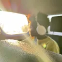 whatthejolly