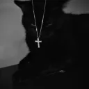 tggripvryt