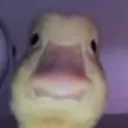 932702