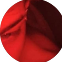 avatar 𝕺𝖓𝖑𝖞𝕭𝖚𝖘𝖎𝖓𝖊𝖘𝖘❗