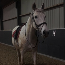 avatar sterretje 👀✨