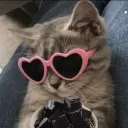 furypietv