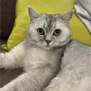 kr_belowzheltos