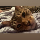 avatar [EVRN] LuigibroGD