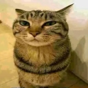 avatar [EVRN] LuigibroGD