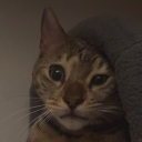 avatar [KIES] LuigibroGD