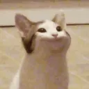 ghazi_369