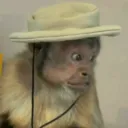 joao_joao