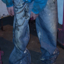 avatar Boomtestics evil twin