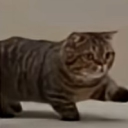 avatar eni_prologue ［ winter ］