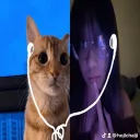 nrsurys