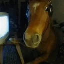 pmaasiai