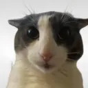 sigmame123467 avatar