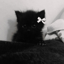 avatar !Thomas ⁶⁷