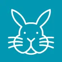tamirorabbit
