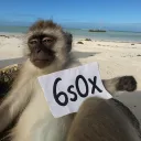6s0x