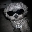 san_on_steriods
