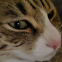 tyson