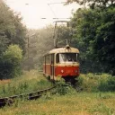 sina368578