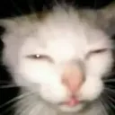 bryan000x.