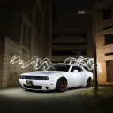 nissim599