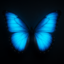 🦋BUTTERFLY🦋