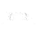 reaszy