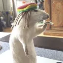 zagxkk